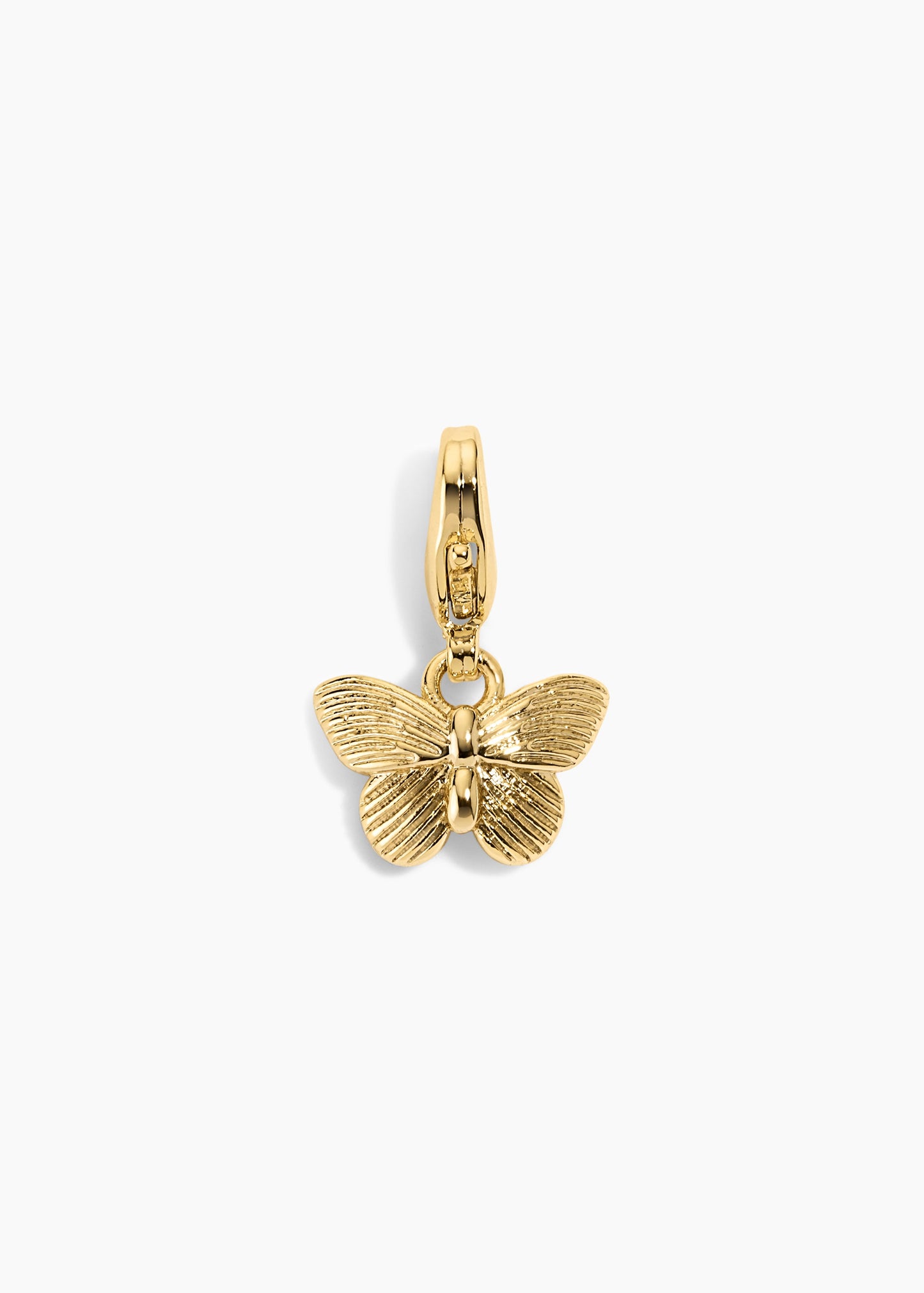 Encanto de mariposa