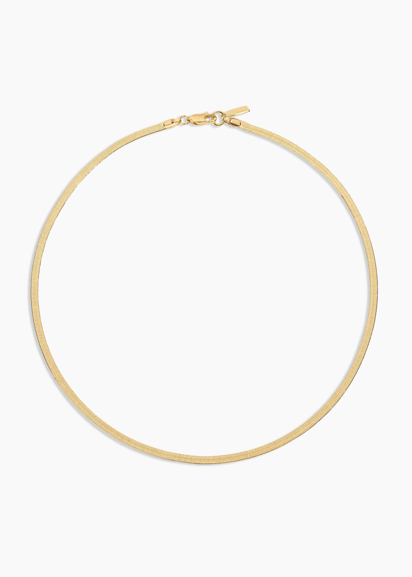 Camila Morrone- Python Necklace