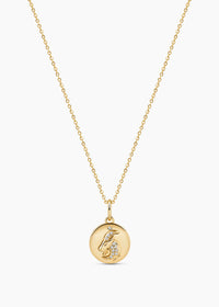 Capricorn