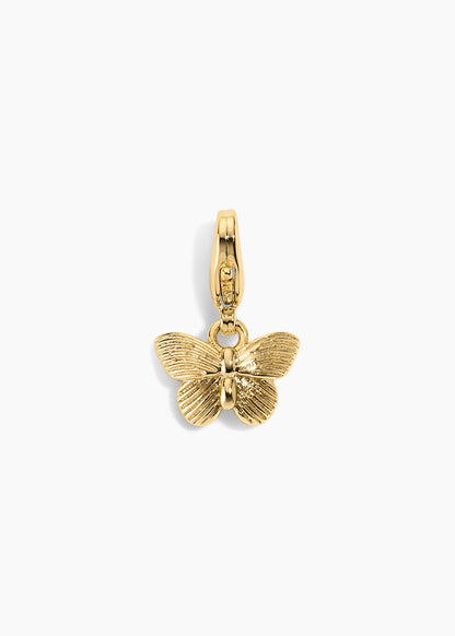 Encanto de mariposa