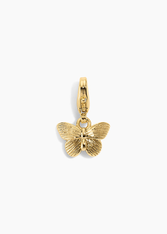 Encanto de mariposa